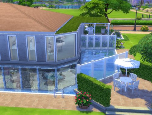 Amphinome (No CC)
