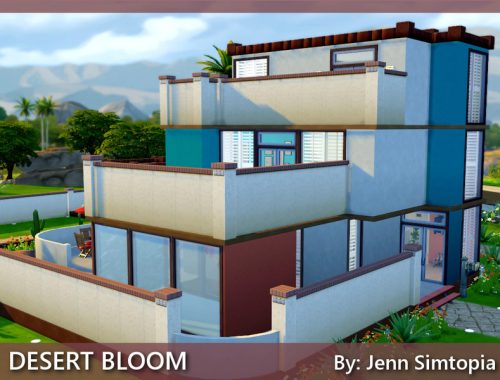 Desert Bloom