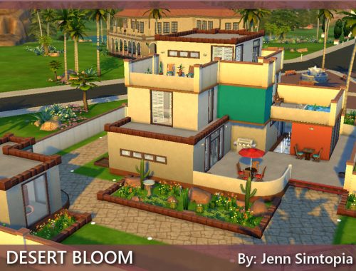 Desert Bloom