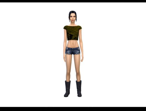 Leather and Lace Cropped Top