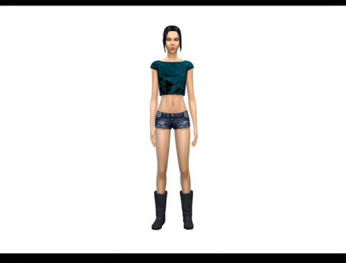 Leather and Lace Cropped Top