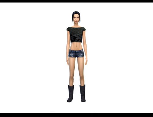 Leather and Lace Cropped Top