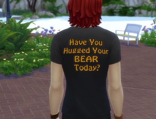 Dirandas Bear Pride t-shirts