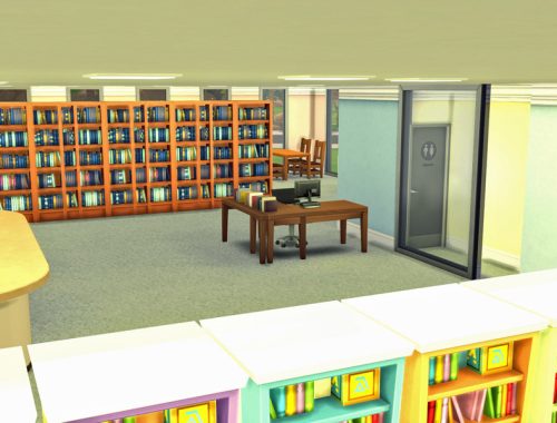Library Oasis Creek