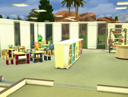 Library Oasis Creek