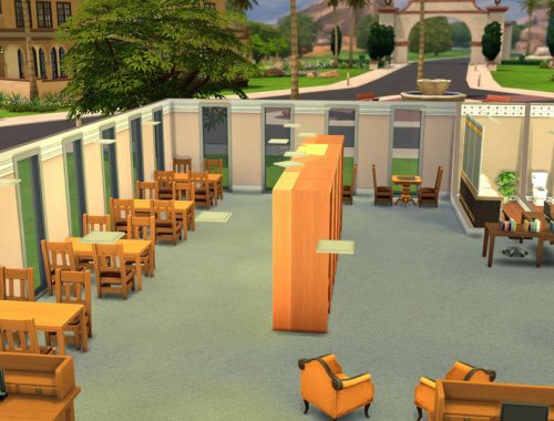 Library Oasis Creek