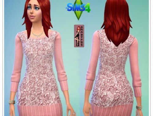 Sweater Dresses