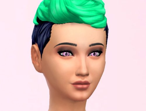 Blow Dry hair recolors
