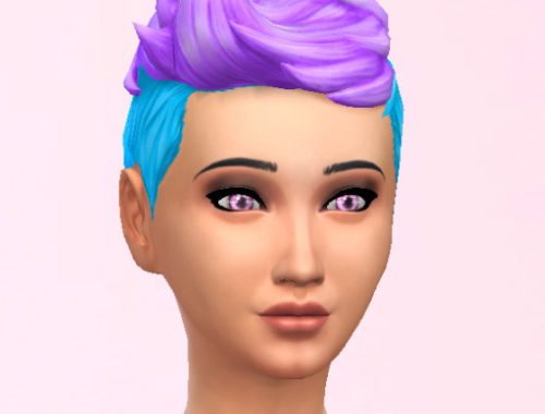 Blow Dry hair recolors
