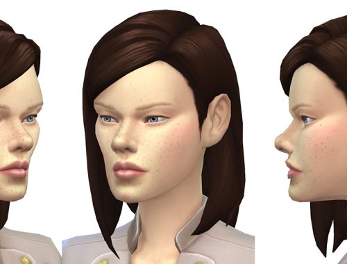Simcity top model, Kelly