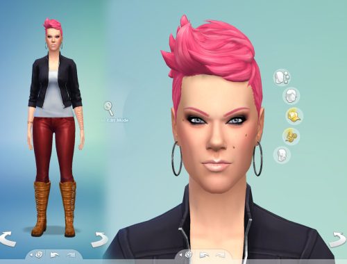 P!nk sims model
