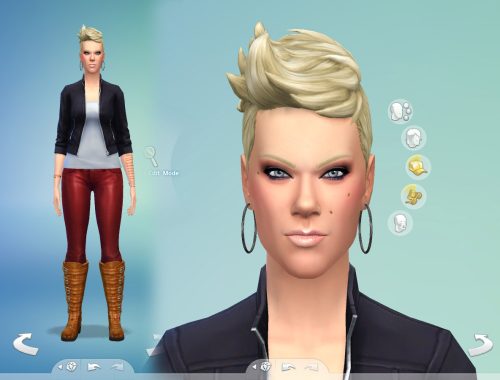P!nk sims model