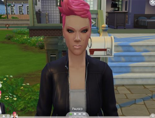 P!nk sims model