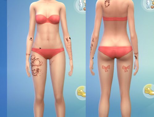 P!nk sims model