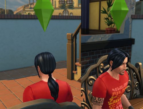 Long Ponytail for males