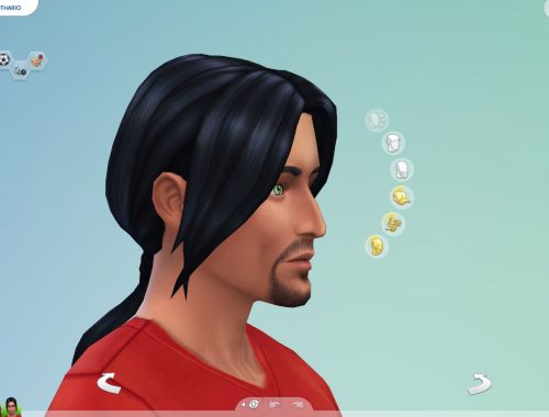 Long Ponytail for males