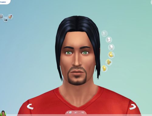 Long Ponytail for males