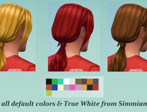 Long Ponytail for males