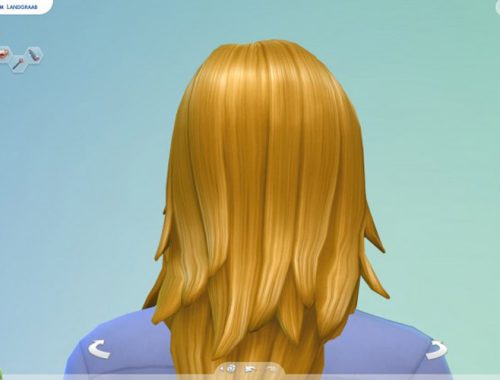 Long Rocker Hair for males