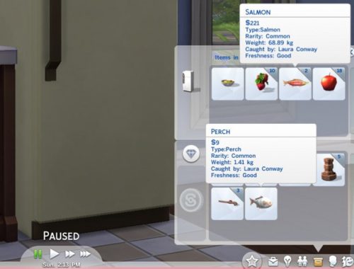 Fish Freshness Fix