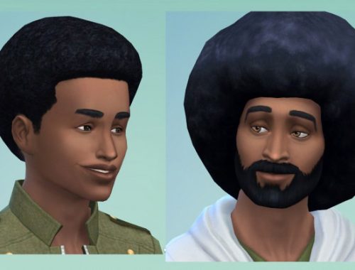 Afros for males