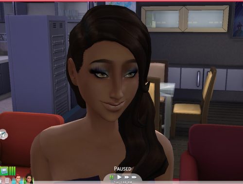 2 Lashes  Falsies