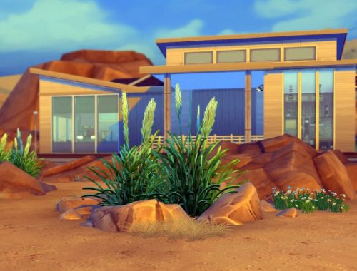 Daryls House