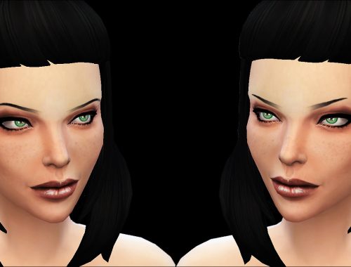 Painted Eyebrows 2 styles