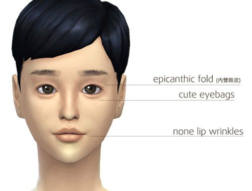 Face skin v1.2