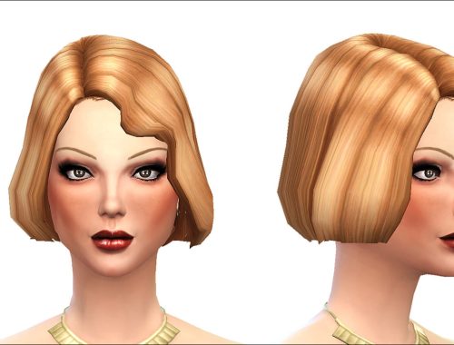 20s Hair  new mesh
