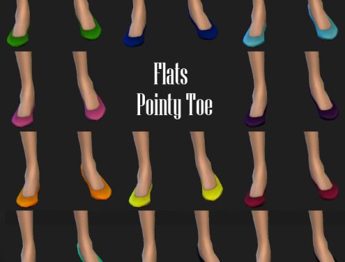 Flats with Pointed Toe