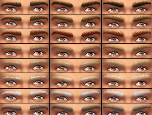 Masculine Eyebrows 3 Shapes