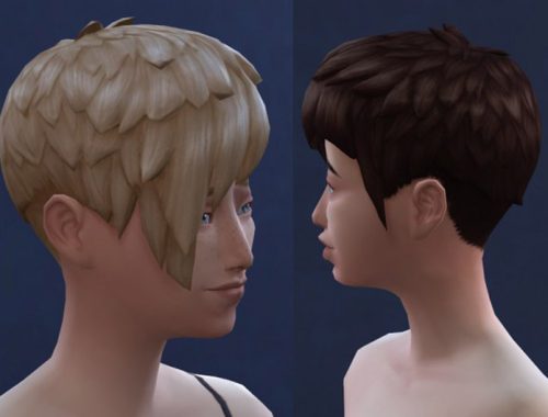 Ordinary Hair Recolor