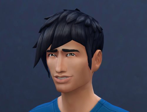 Ordinary Hair Recolor