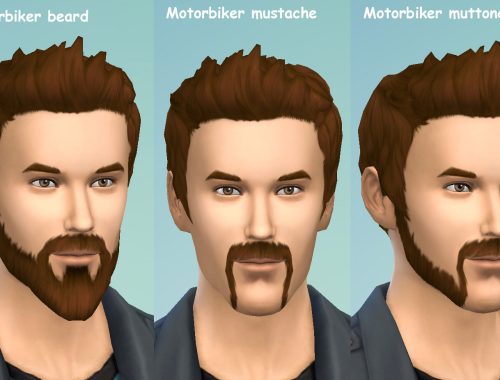 Motorbiker beard mustache and muttonchops