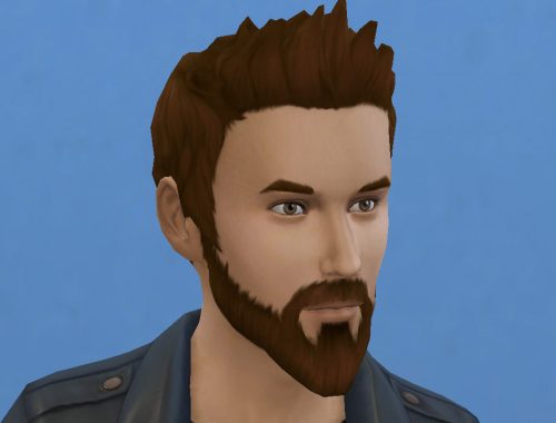Motorbiker beard mustache and muttonchops