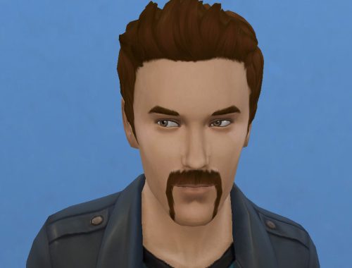 Motorbiker beard mustache and muttonchops