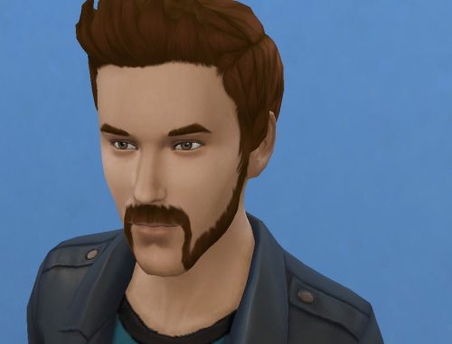 Motorbiker beard mustache and muttonchops