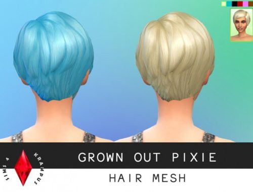 Grown out pixie hair mesh