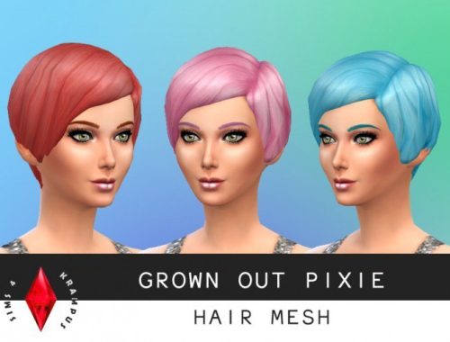 Grown out pixie hair mesh