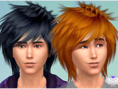 3 Converted Raonjena Hairs