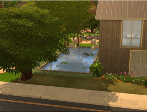 Natural House