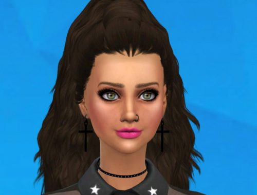 Skysims 204 Hair Conversion