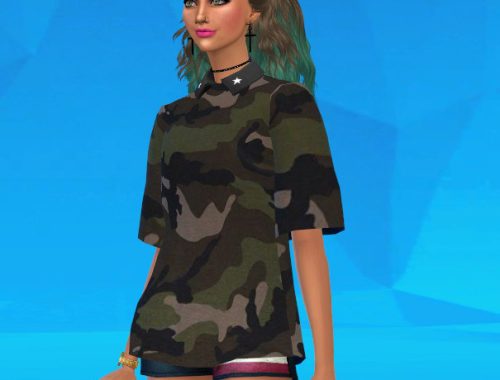 Skysims 204 Hair Conversion