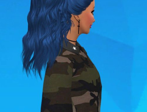 Skysims 204 Hair Conversion