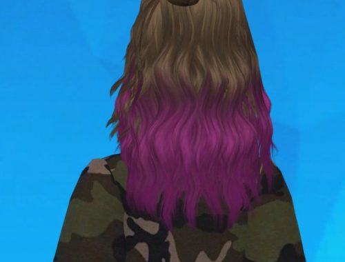 Skysims 204 Hair Conversion