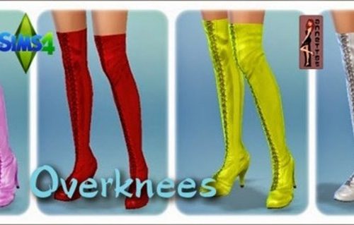 Corsage Coquette & Overknees