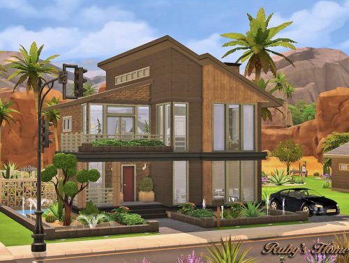 Modern Industrial Home