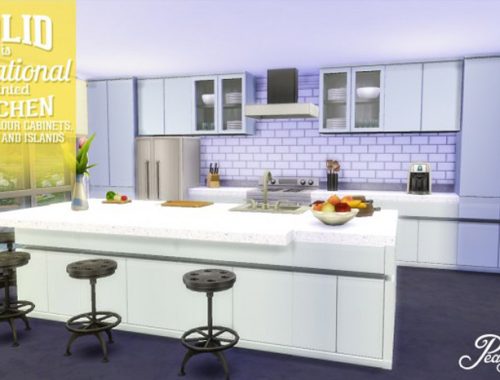 Solid Is Sensational Painted Kitchen