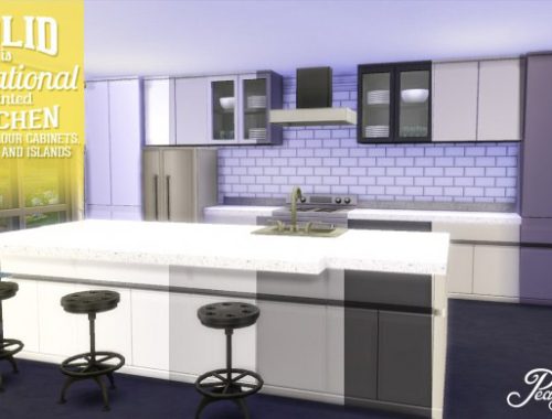 Solid Is Sensational Painted Kitchen